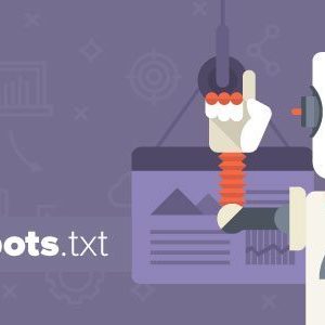 بهینه سازی Robots.txt برای سئو